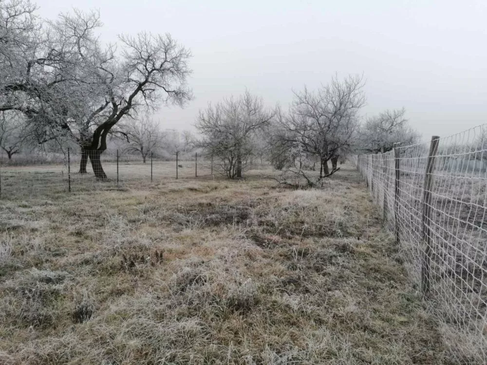 Rekreačný pozemok na predaj, Štúrovo, 97713_2