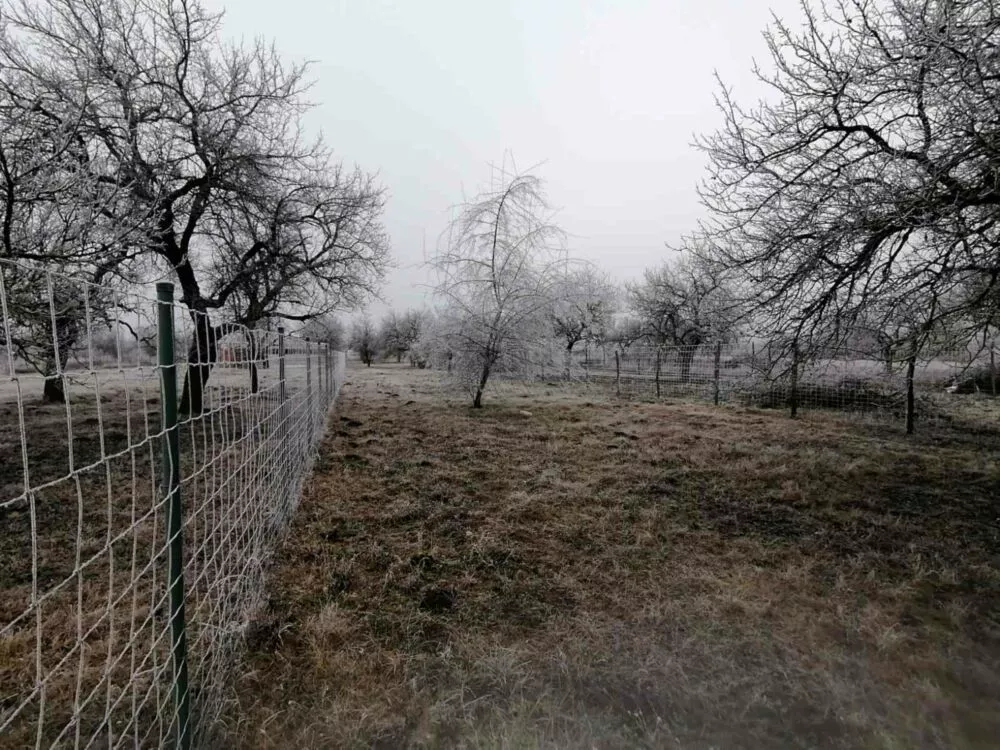 Rekreačný pozemok na predaj, Štúrovo, 97713_3