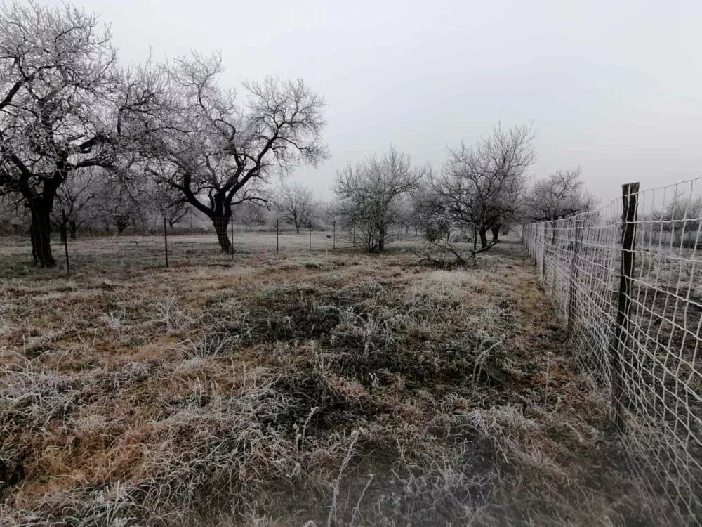 Rekreačný pozemok na predaj, Štúrovo, 97713_4