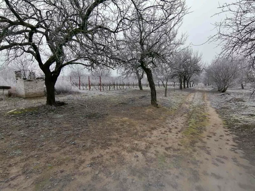 Rekreačný pozemok na predaj, Na Bozi kopec, Štúrovo, 97714_4