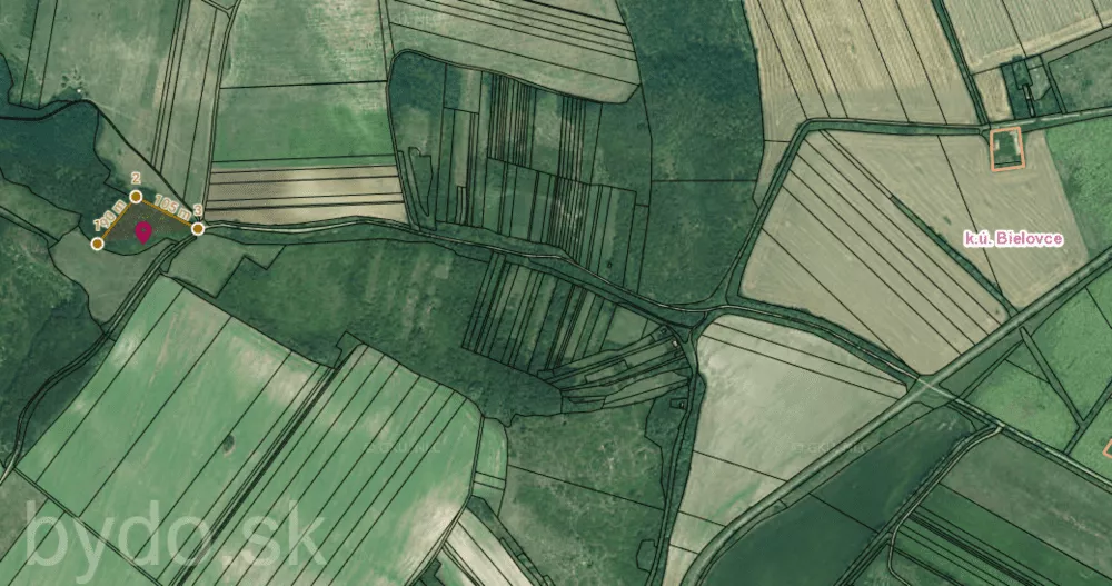 Iný poľnohosp. pozemok na predaj, Bielovce-0,65 euro m2, 99578_2