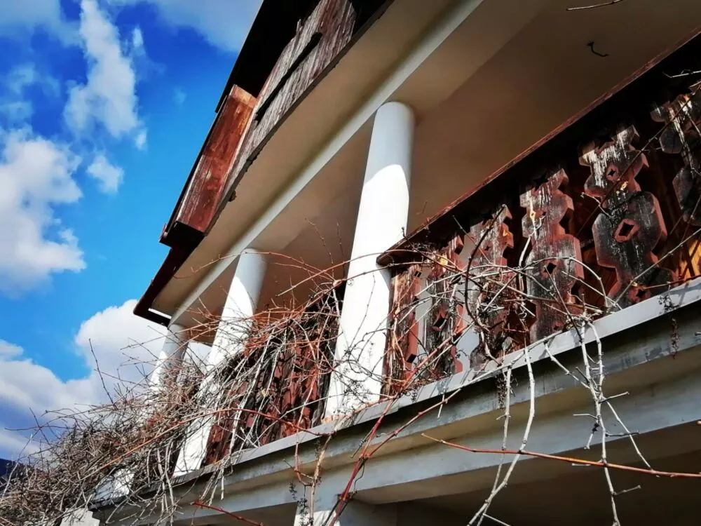 Rekreačný pozemok na predaj 65m2, Vinica, 100112_2