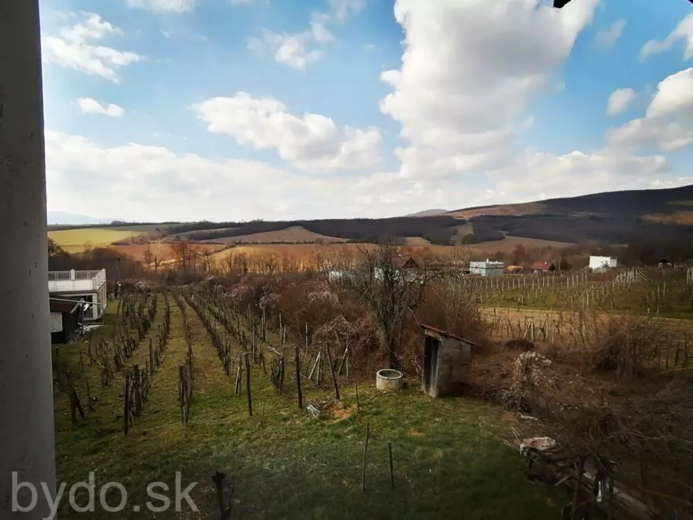 Rekreačný pozemok na predaj 65m2, Vinica, 100112_3