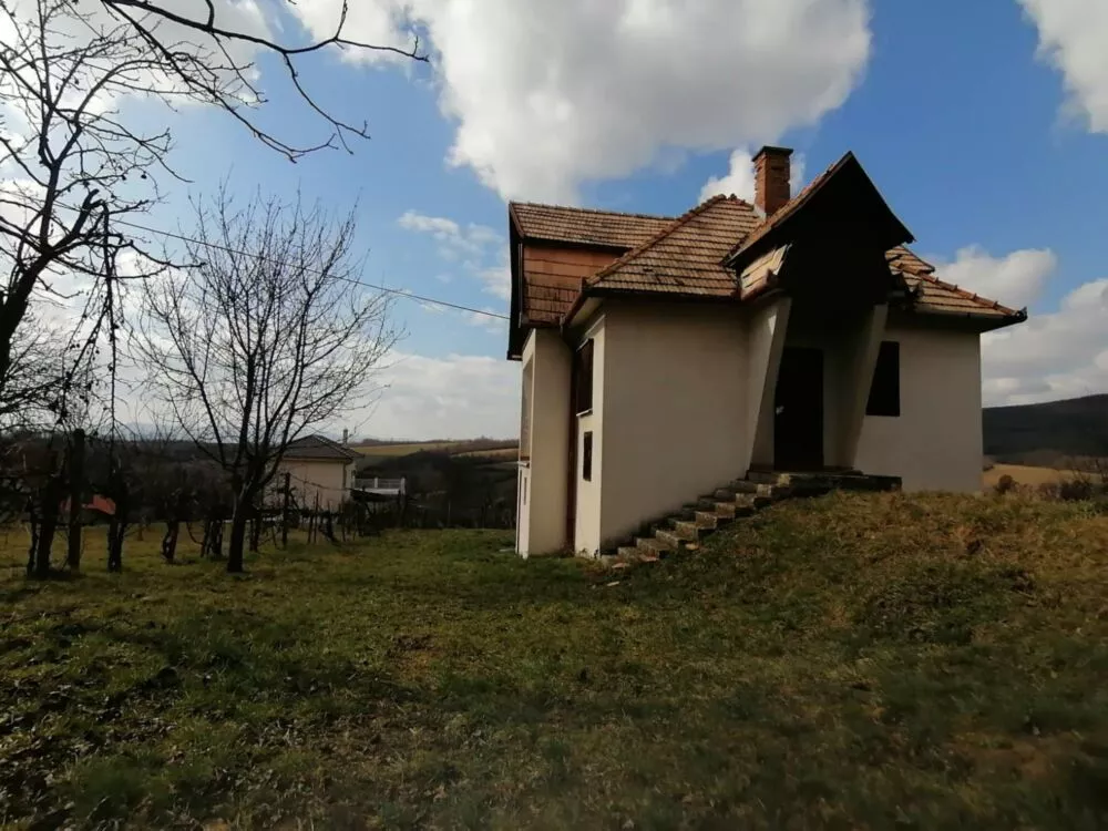 Rekreačný pozemok na predaj 65m2, Vinica, 100112_4