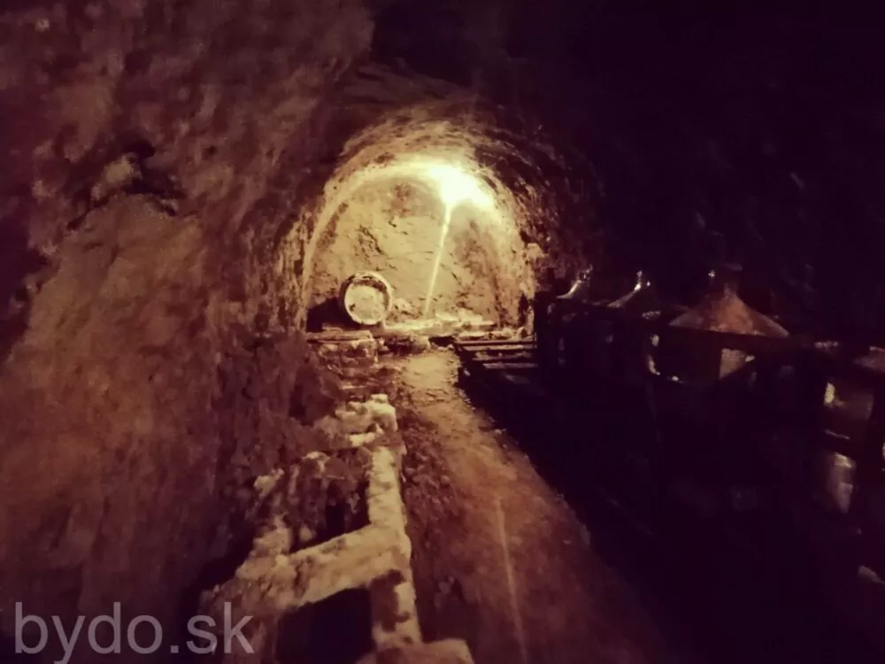 Rekreačný pozemok na predaj 65m2, Vinica, 100112_8