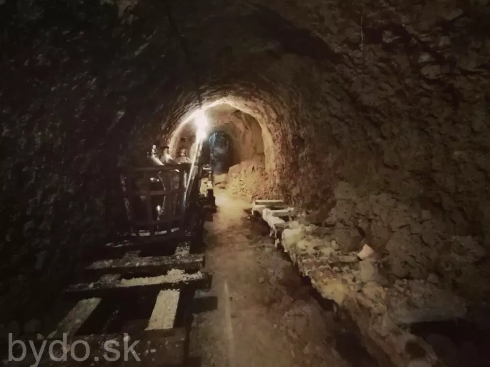 Rekreačný pozemok na predaj 65m2, Vinica, 100112_10