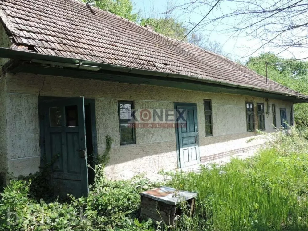 SUPER PONUKA! Pozemok so starším domom a s vinicou v obci Viničky., 102596_1