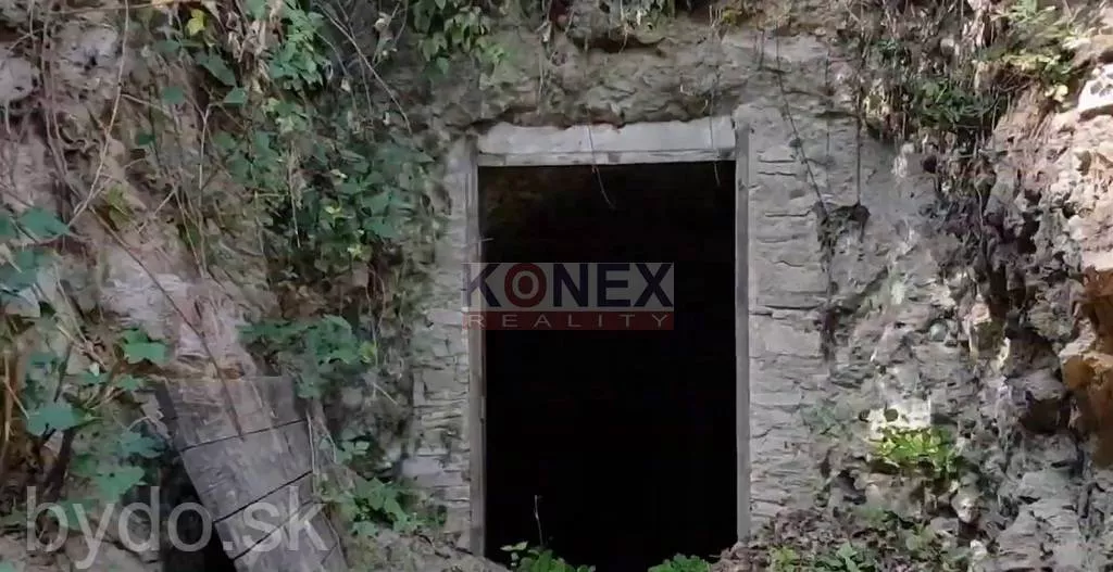 SUPER PONUKA! Pozemok so starším domom a s vinicou v obci Viničky., 102596_4