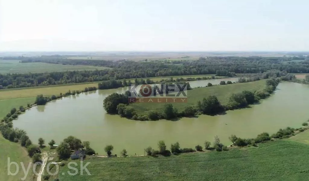 SUPER PONUKA! Pozemok so starším domom a s vinicou v obci Viničky., 102596_5