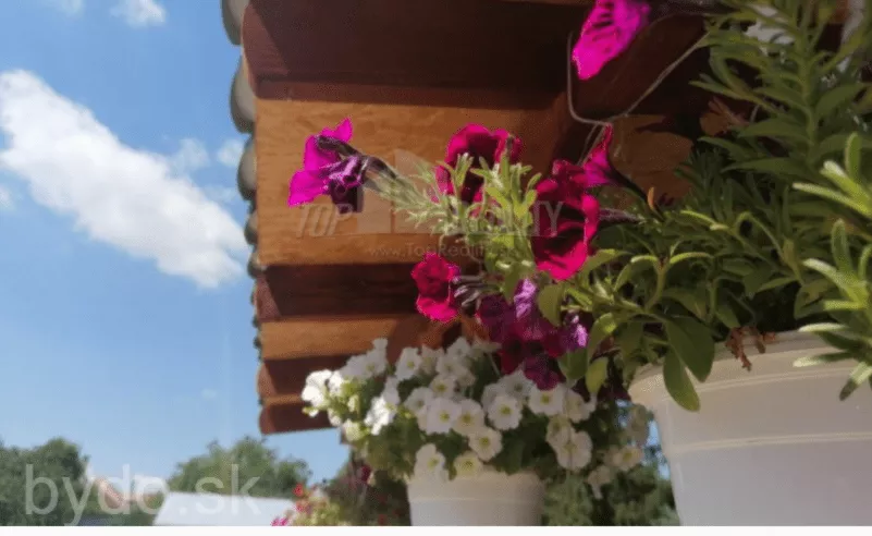 Rodinný dom na predaj, Hont, 103008_1