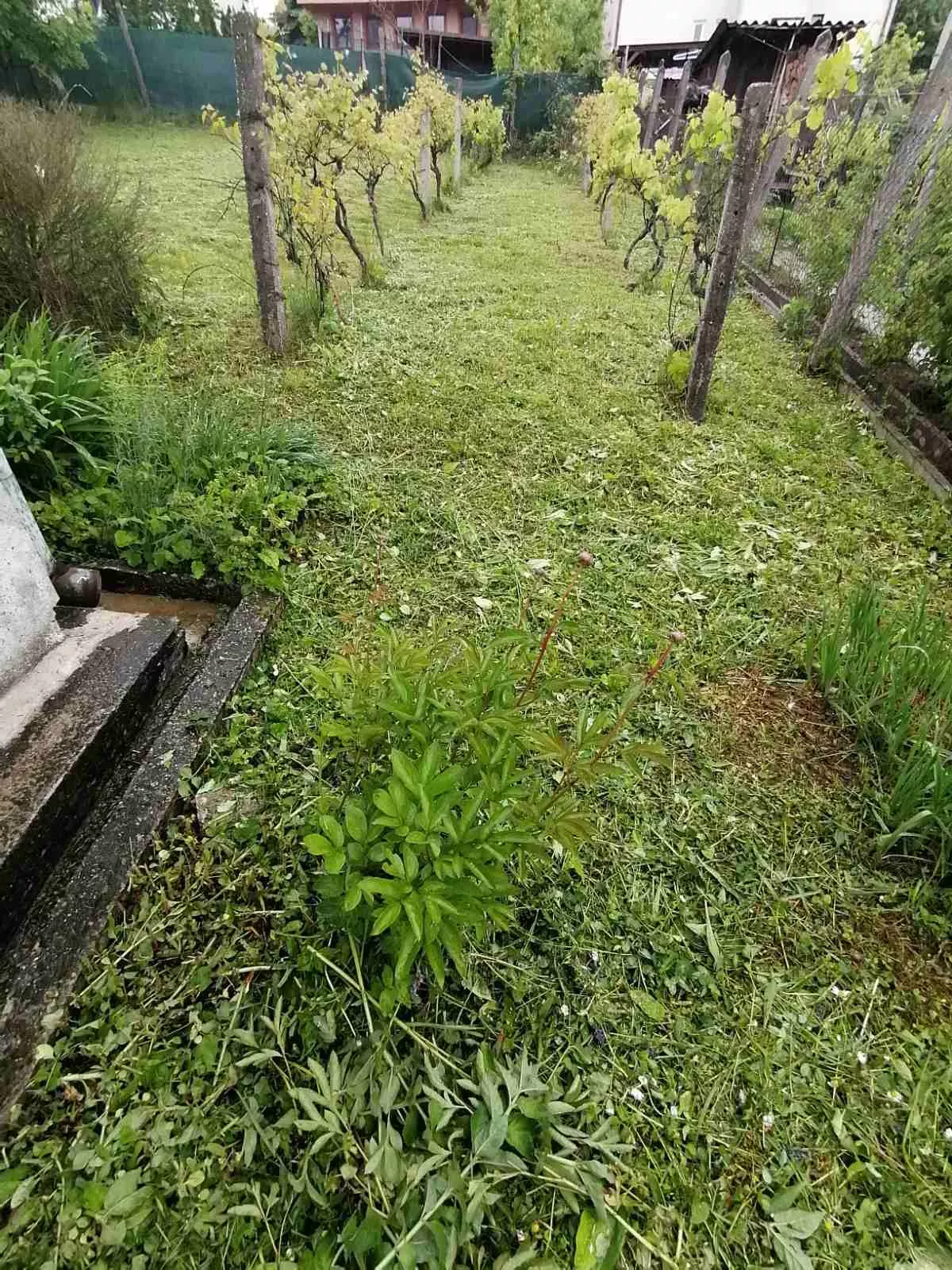 Rodinný dom na predaj, Veľký Krtíš, 103330_12