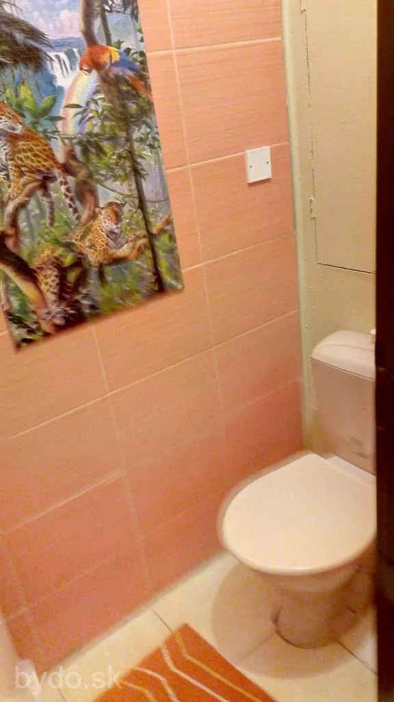 2 izbový byt na prenájom 40m2, Oravská, Žilina, 104588_8