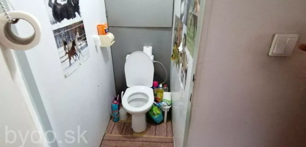 3 izbový byt na predaj 66m2, Janka Kráľa, Šahy, 104842_10