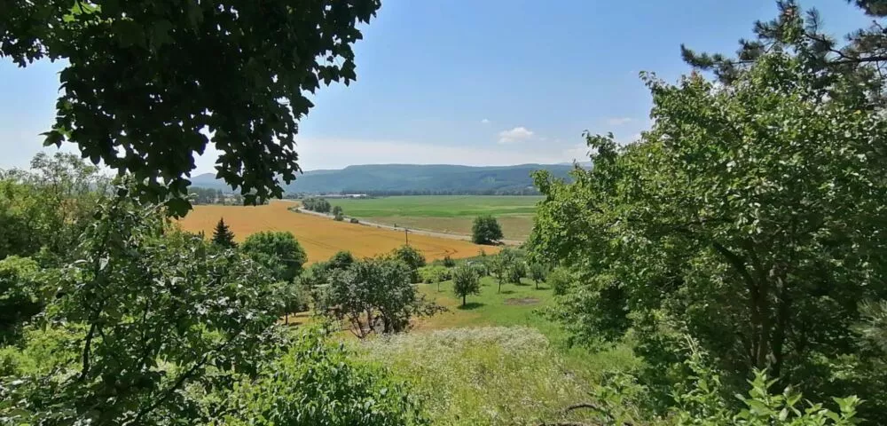 Rekreačný pozemok na predaj 20m2, Šahy, 104843_5