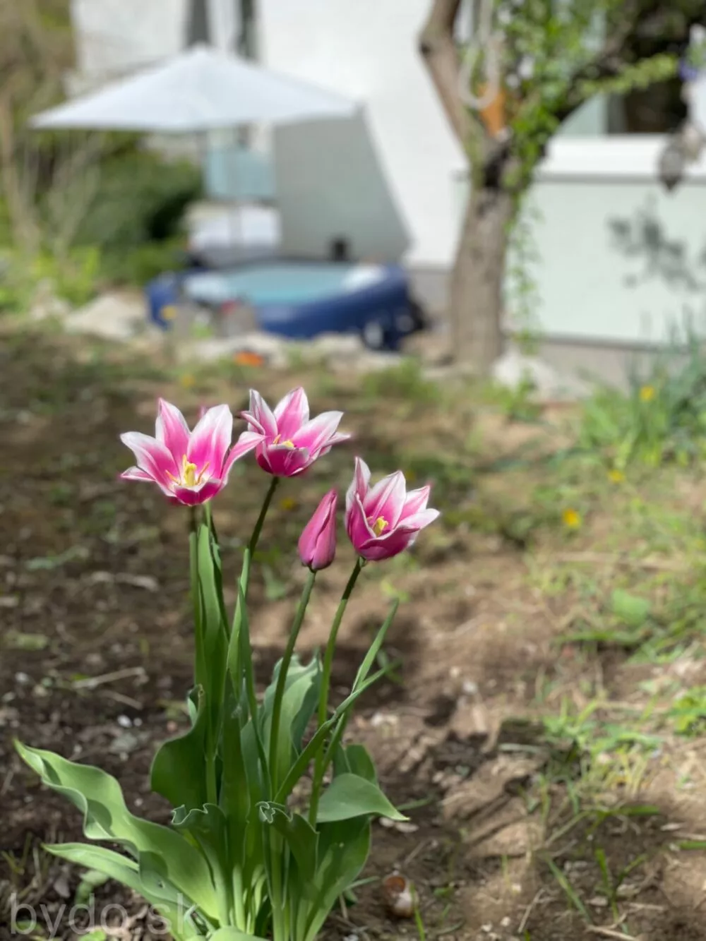 4 izbový byt na predaj 101m2, Tupeho, Bratislava - Nové Mesto, 113958_26