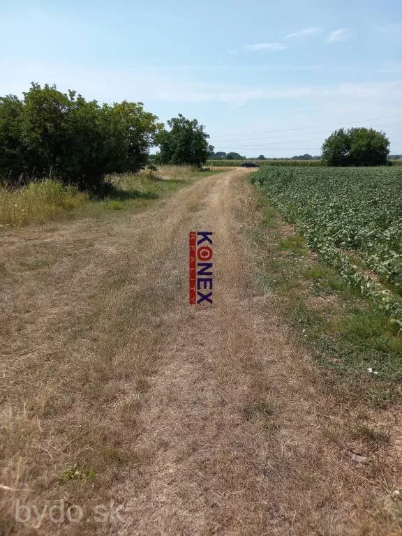 Na predaj pozemok na výstavbu rodinného domu v Michalovciach!, 116522_1