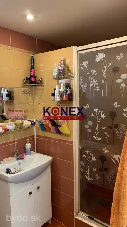 Rodinný dom v obci Nacina Ves, 8 km od Michaloviec, 118244_9