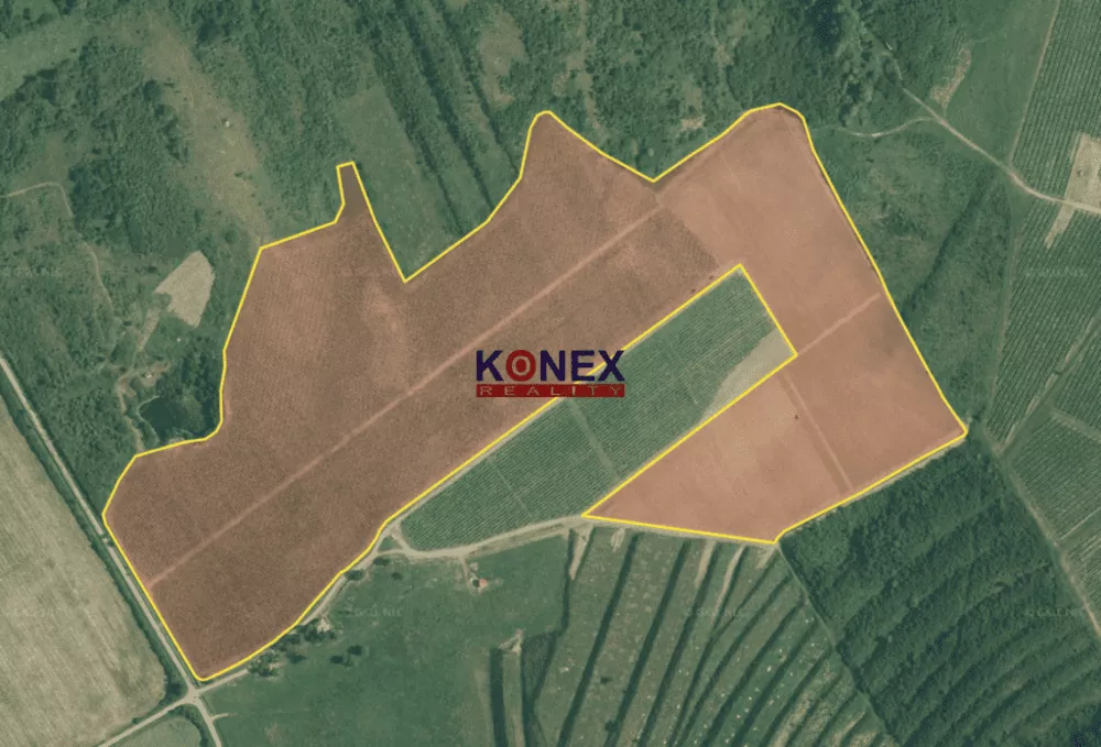 Jedinečná investícia! KRÁSNY VINOHRAD VO VINOHRADNÍCKEJ OBLASTI TOKAJ, 119179_1