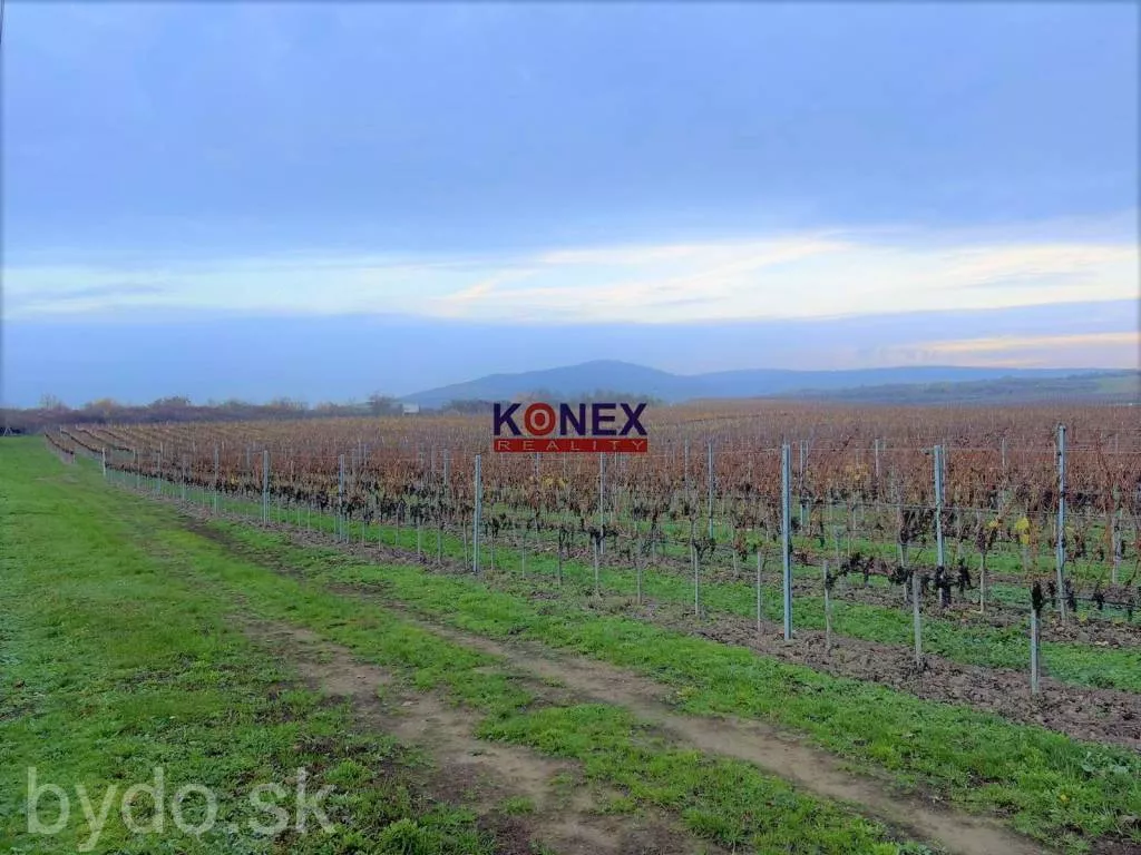 Jedinečná investícia! KRÁSNY VINOHRAD VO VINOHRADNÍCKEJ OBLASTI TOKAJ, 119179_2