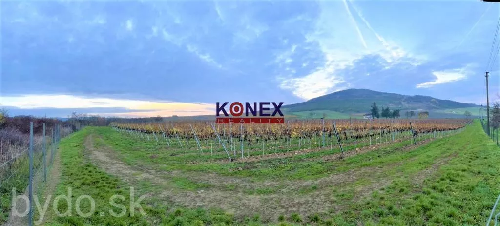 Jedinečná investícia! KRÁSNY VINOHRAD VO VINOHRADNÍCKEJ OBLASTI TOKAJ, 119179_3