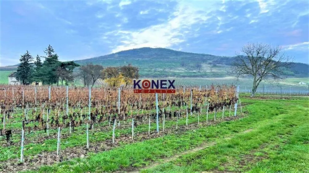 Jedinečná investícia! KRÁSNY VINOHRAD VO VINOHRADNÍCKEJ OBLASTI TOKAJ, 119179_5