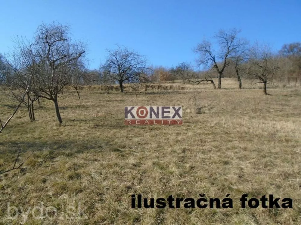 NA PREDAJ – Pozemok v obci Lúčky, okres Michalovce, 121535_0