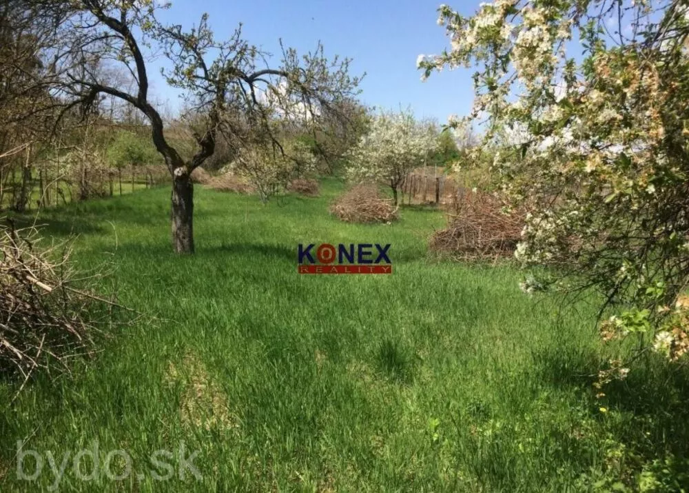 NA PREDAJ – Veľký stavebný pozemok v obci Somotor, 122489_1