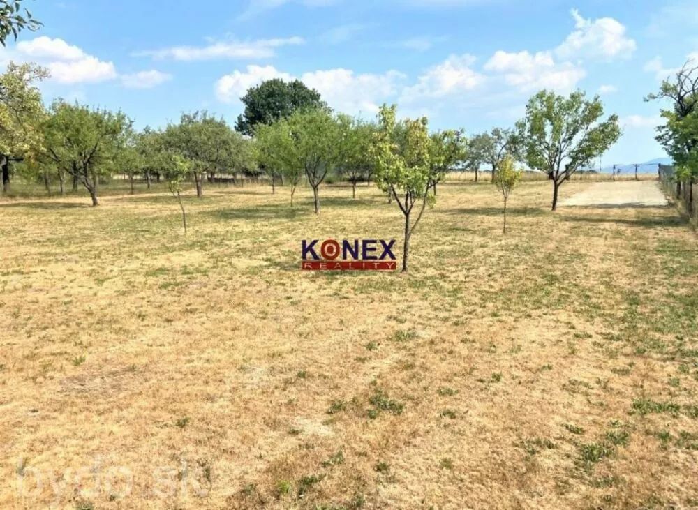 Pozemky neďaleko Košíc – obec Mudrovce, 124009_0