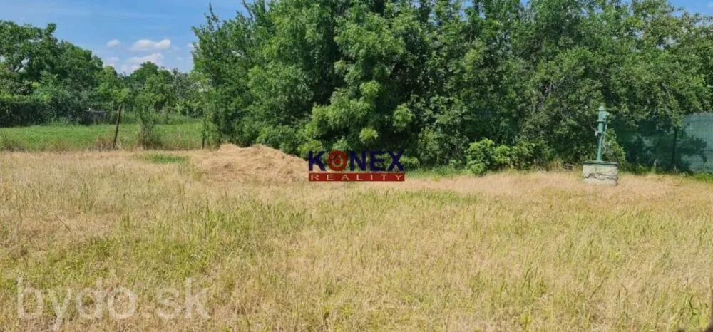 SKVELÁ PONUKA Stavebný pozemok v obci Budkovce, 125185_1