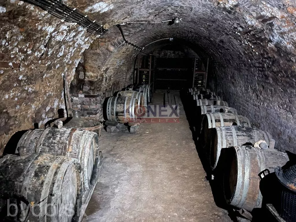 SUPER INVESTÍCIA! 4 rodinné domy v obci Brehov, 127931_13