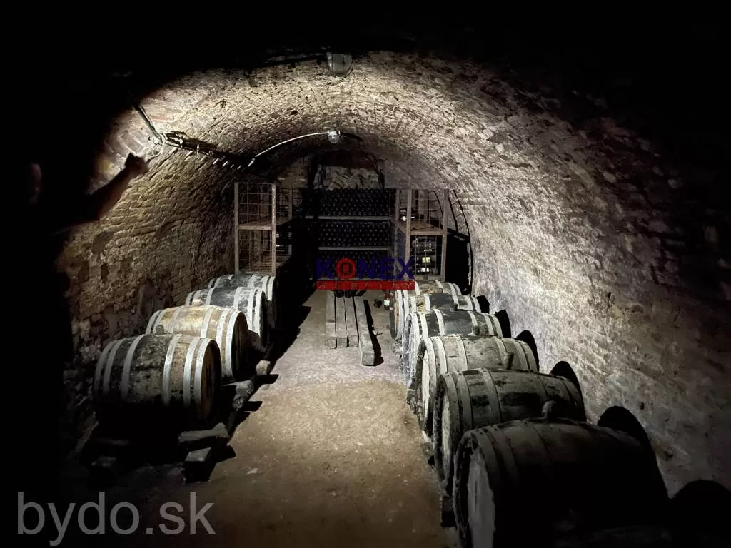 SUPER INVESTÍCIA! 4 rodinné domy v obci Brehov, 127931_14