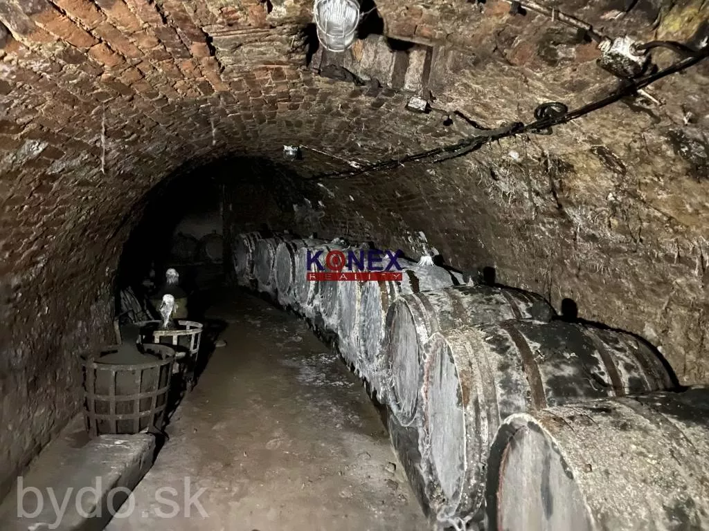 SUPER INVESTÍCIA! 4 rodinné domy v obci Brehov, 127931_16