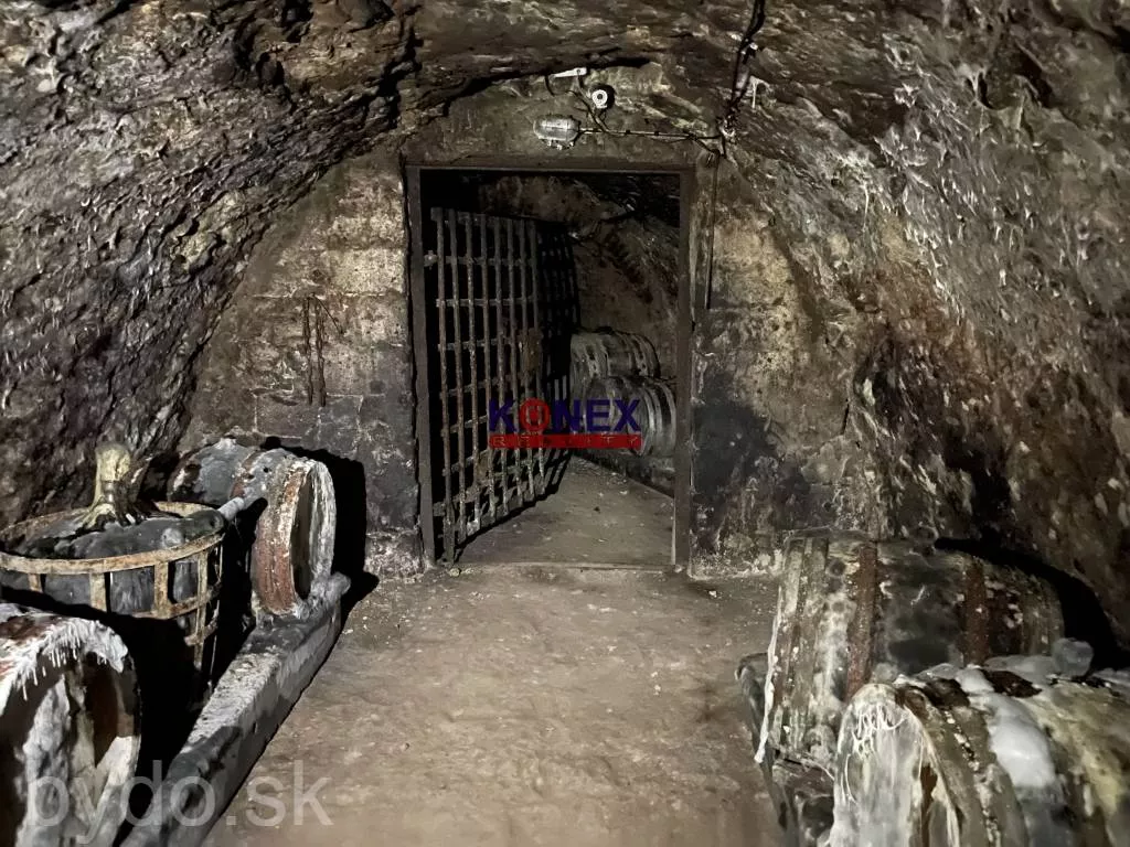 SUPER INVESTÍCIA! 4 rodinné domy v obci Brehov, 127931_17