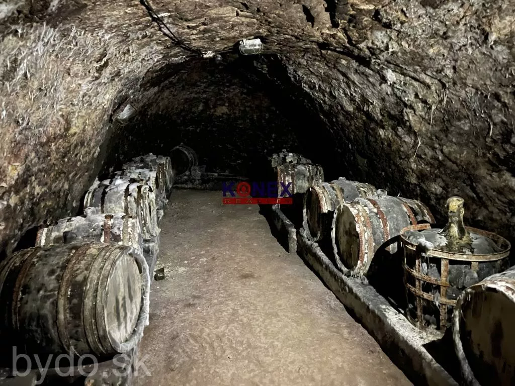 SUPER INVESTÍCIA! 4 rodinné domy v obci Brehov, 127931_18