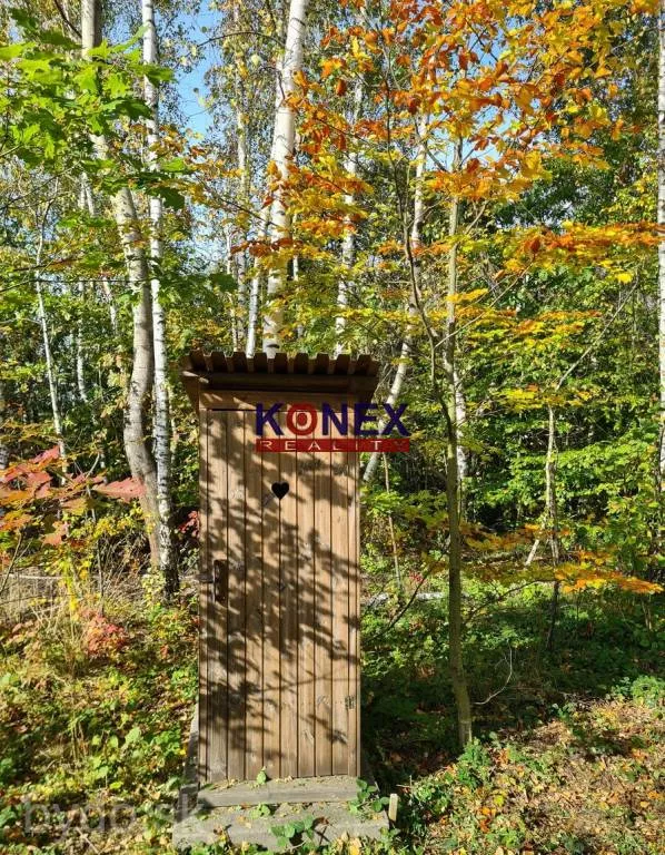 Chatka na samotke s rozľahlým pozemkom - Zemplínske Hámre, 131917_6