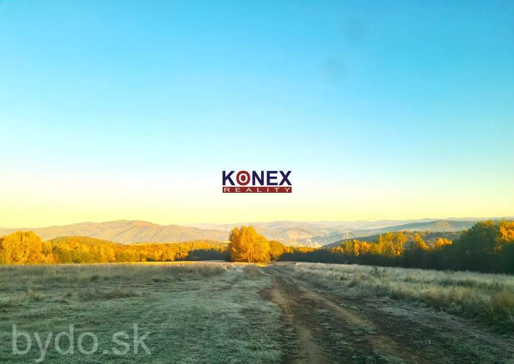 Chatka na samotke s rozľahlým pozemkom - Zemplínske Hámre, 131917_7