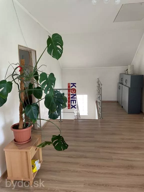 Poschodový rodinný dom s krásnym pozemkom – Zemplínske Kopčany, 131932_5