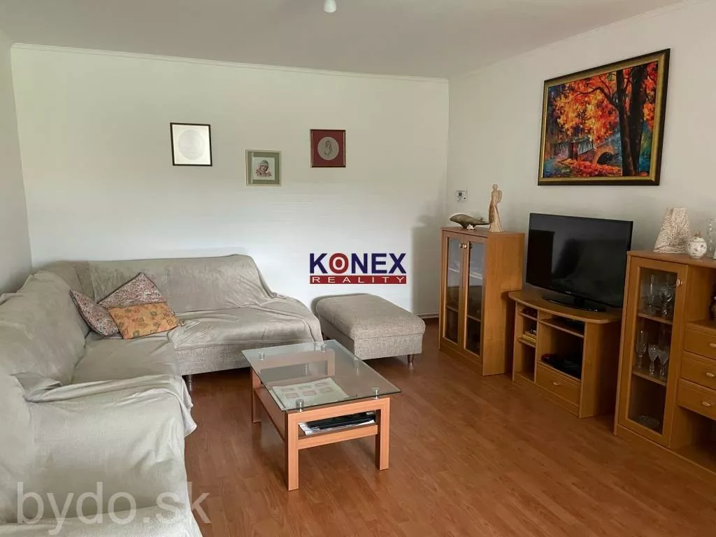 Poschodový rodinný dom s krásnym pozemkom – Zemplínske Kopčany, 131932_10