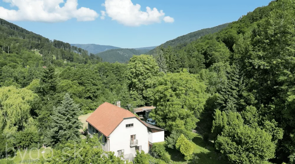 Vidiecky dom na predaj 400m2, Janova Lehota, 132059_1