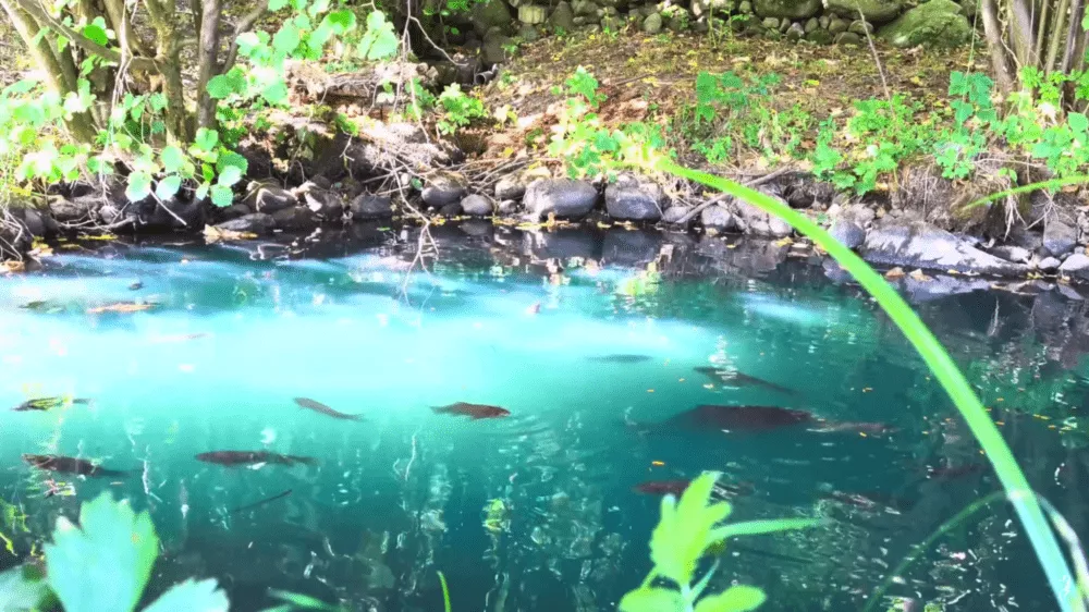 Vidiecky dom na predaj 400m2, Janova Lehota, 132059_3