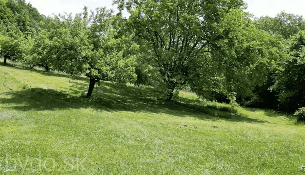 Vidiecky dom na predaj 400m2, Janova Lehota, 132059_10