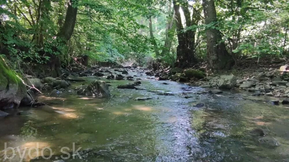 Predám dom na veľkom pozemku v lese., 132114_1