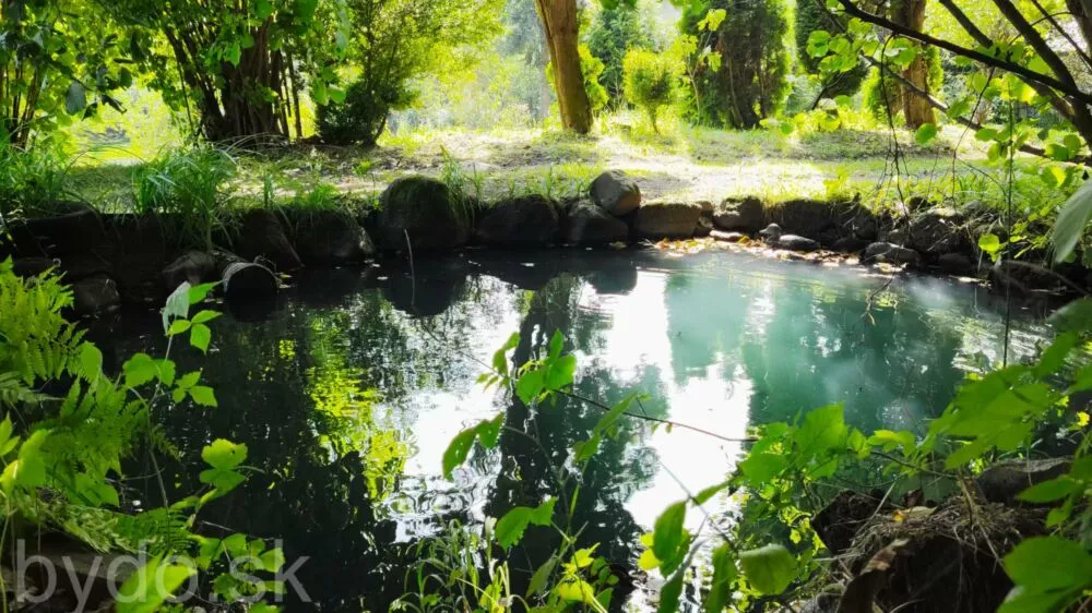 Predám dom na veľkom pozemku v lese., 132114_4