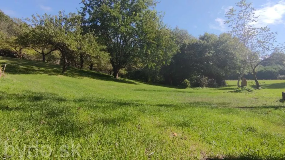 Predám dom na veľkom pozemku v lese., 132114_5