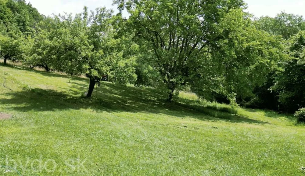 Predám dom na veľkom pozemku v lese., 132114_13