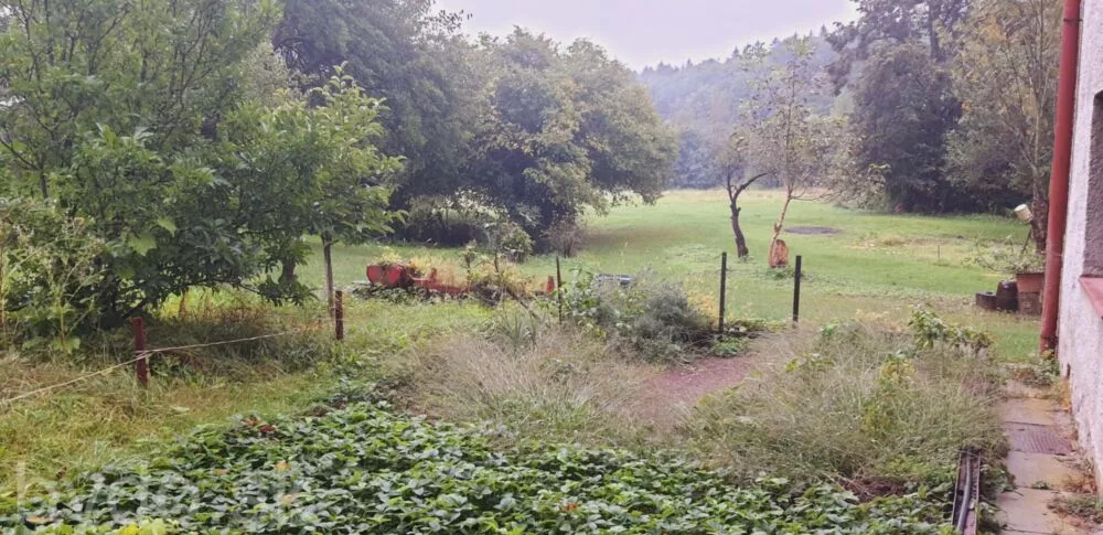 Predám dom na veľkom pozemku v lese., 132114_15