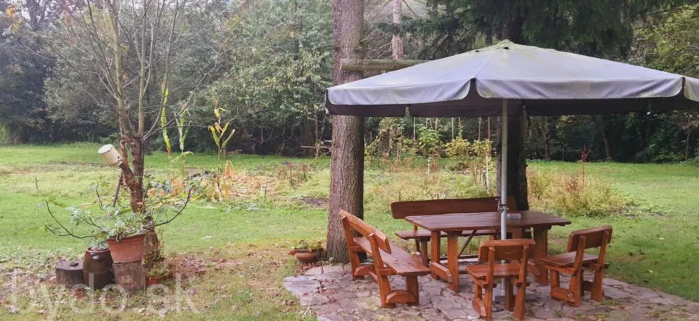 Predám dom na veľkom pozemku v lese., 132114_19