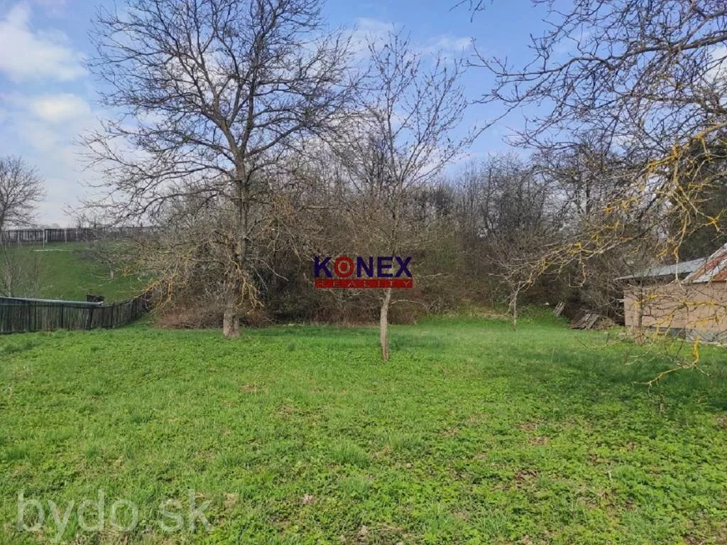 Chalupa v obci ČERTIŽNÉ, okres Medzilaborce, 136150_4