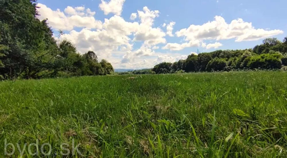 Predám dom s veľkým pozemkom s potokom., 137674_6