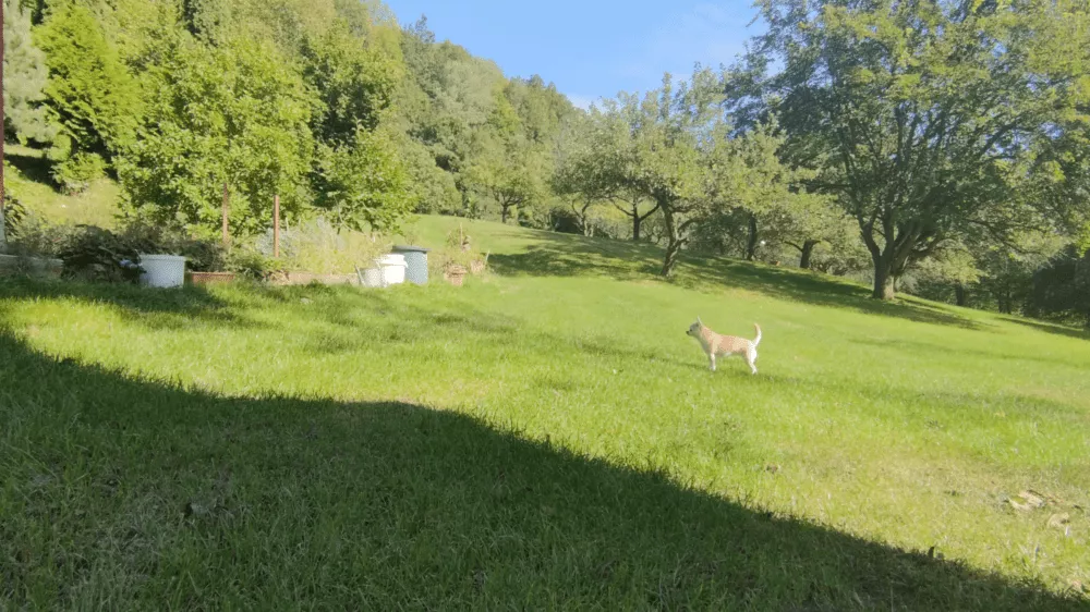 Predám dom s veľkým pozemkom s potokom., 137674_12